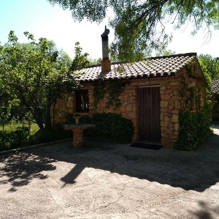 Casas Rurales Picos Del Oso Riópar Extérieur photo