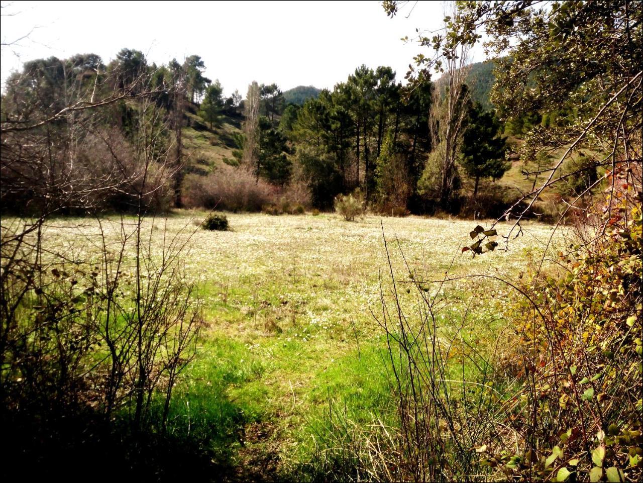 Casas Rurales Picos Del Oso Riópar Extérieur photo