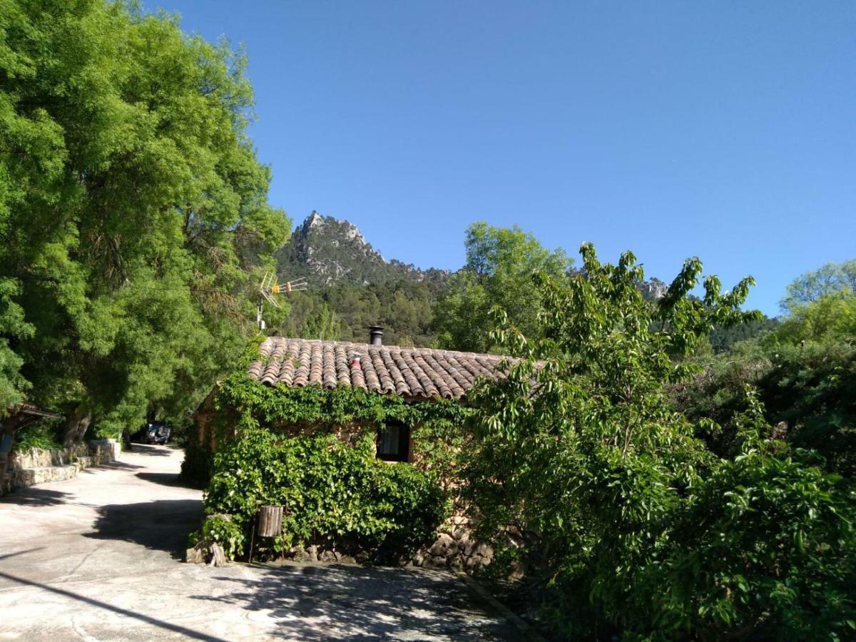 Casas Rurales Picos Del Oso Riópar Extérieur photo